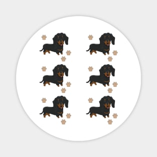 Dachshund dog breed cute pattern Magnet